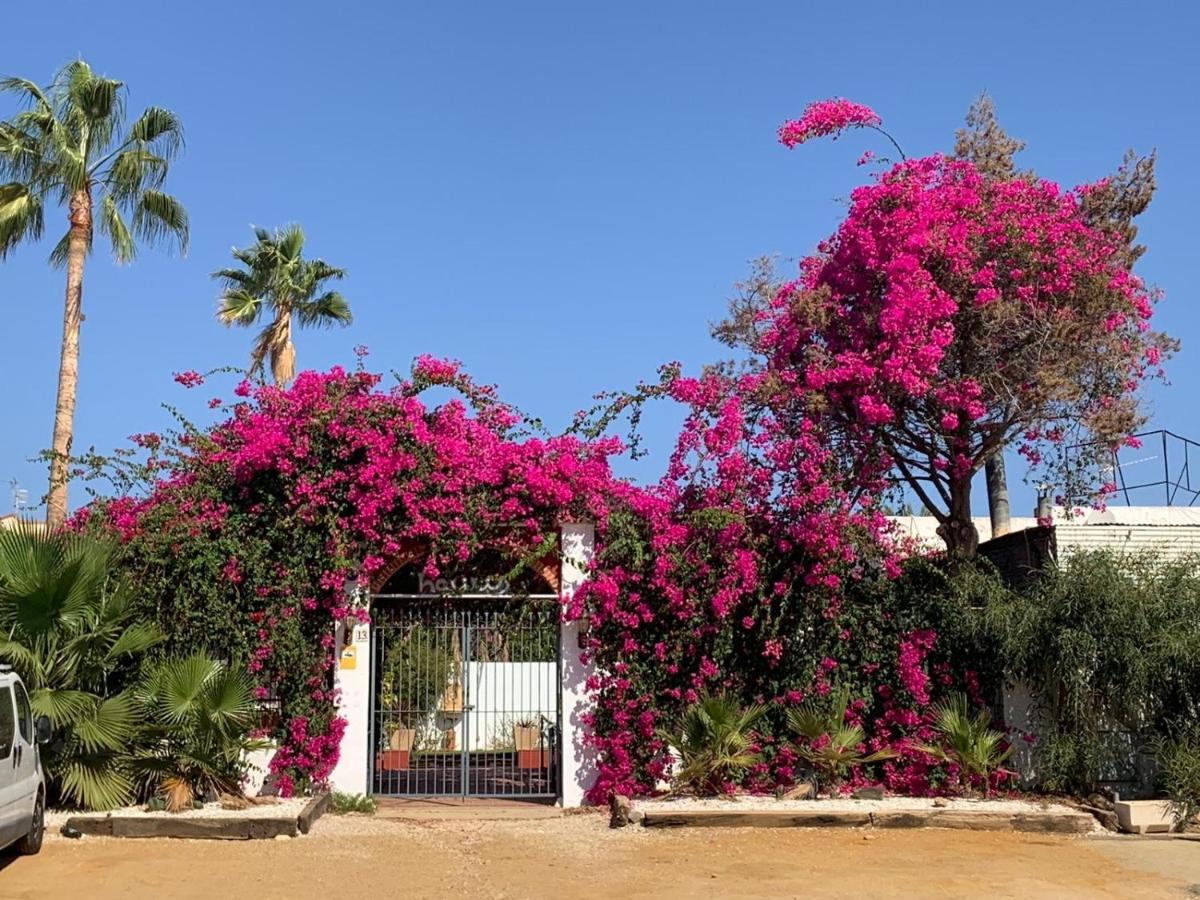 Villa Casa Tranquila à San Juan de los Terreros Extérieur photo
